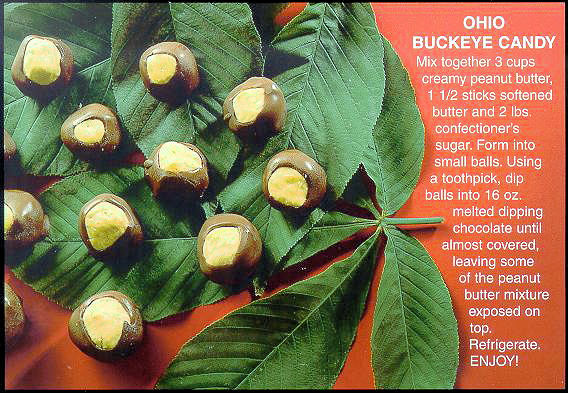 buckeye