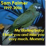 Palmer's Sam