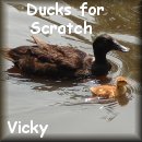 Scratch can swim after da duckies!