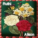 Alison's webhome