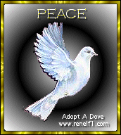 Adopt A Dove