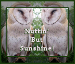 Nuttin' But Sunshine!