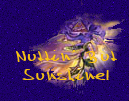 Join Nuttin' But Sunshine!