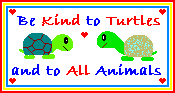 Turtle clipart and more!