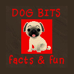 Pet Facts & Fun