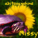 Missy's Web Page
