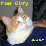 Miss Glory