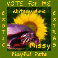 Thank you for voting for Missy the Turtle