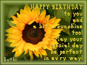 abitosunshine birthday quilts