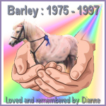 Dianne's Barley