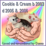 Dianne's Cookie & Cream